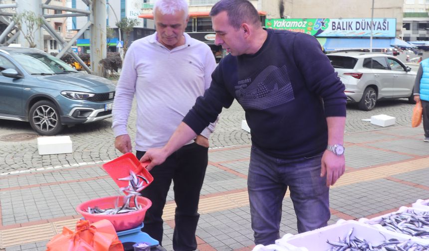 Rize'de balık tezgahlarında hamsi bolluğu yaşanıyor