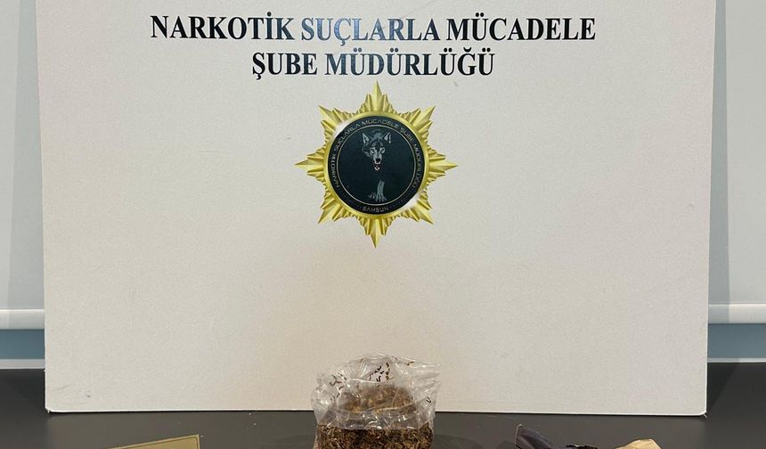 Samsun'da uyuşturucu operasyonunda 9 zanlı yakalandı