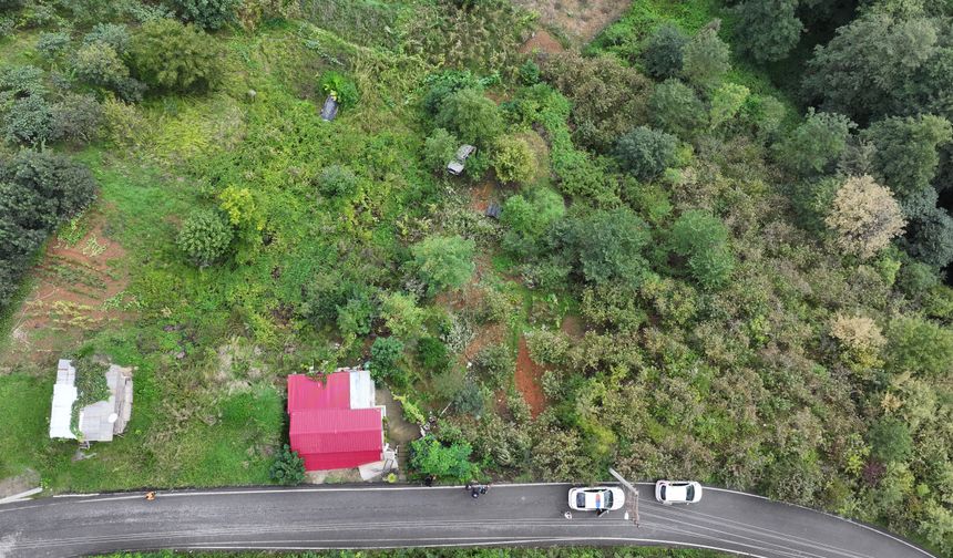 Trabzon'da fındık bahçesine yuvarlanan otomobilin sürücüsü yaralandı