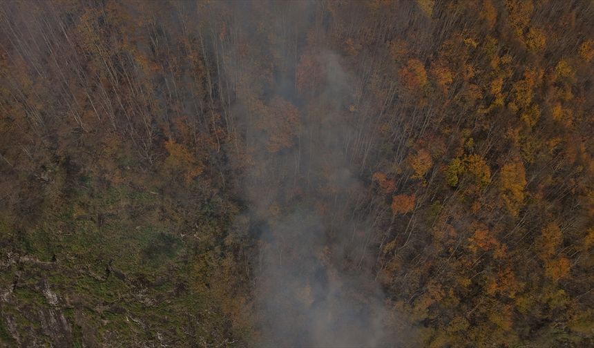 Ordu'da çıkan örtü yangını kontrol altına alındı