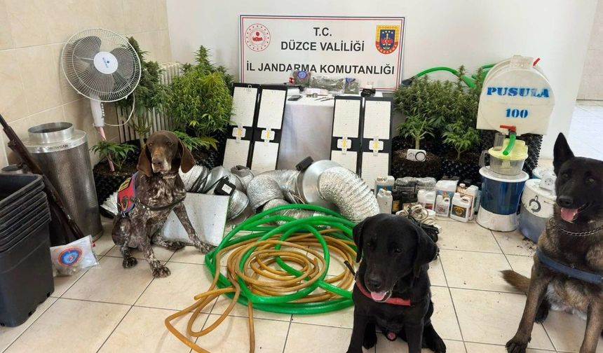 Düzce'de evinin çatı arasına kurduğu düzenekle uyuşturucu bitki yetiştiren şüpheli yakalandı