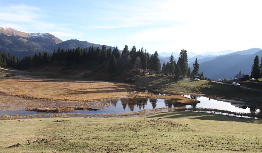 Gölyanı Yaylası ziyaretçilerini doğal güzellikleriyle karşılıyor