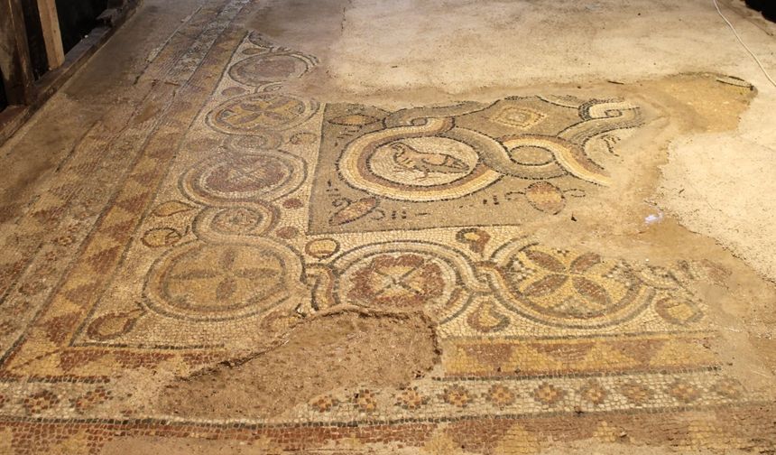 Sinop'ta 1600 yıllık mozaikler oluşturulacak ziyaretçi merkezinde sergilenecek