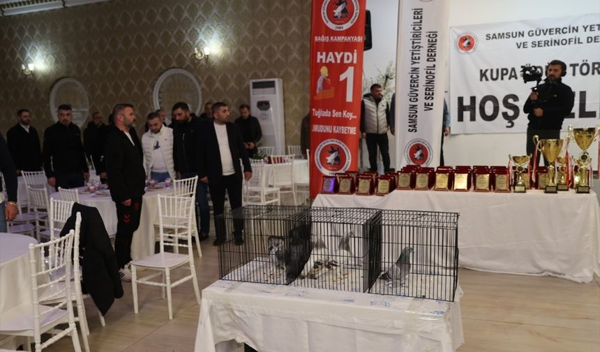 Türkiye'deki güvercin severler Samsun'da bir araya geldi