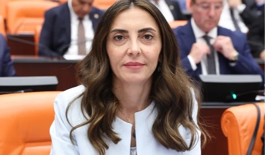 CHP'li Altaca Kayışoğlu'ndan 'alt komisyon' çağrısı