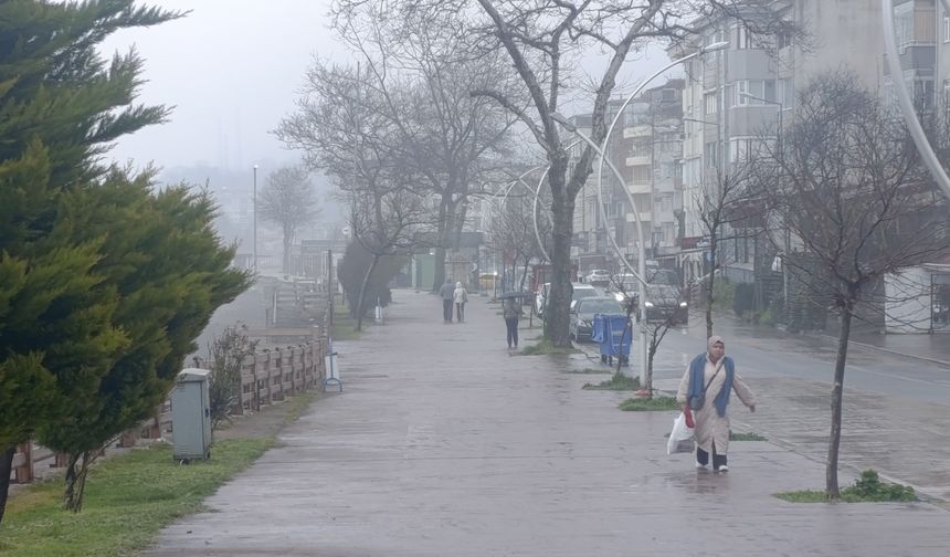 Akçakoca'da kuvvetli rüzgar etkili oldu