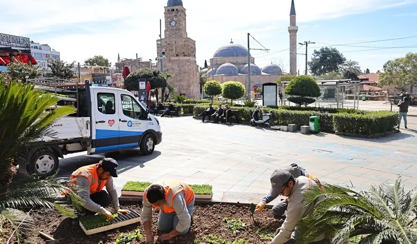 Antalya 4 milyon yazlık çiçekle bahara hazırlanıyor