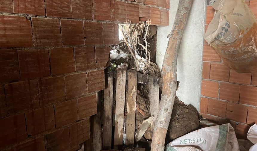 Çatalpınar'da ağılın çökmesi sonucu 4 küçükbaş hayvan telef oldu