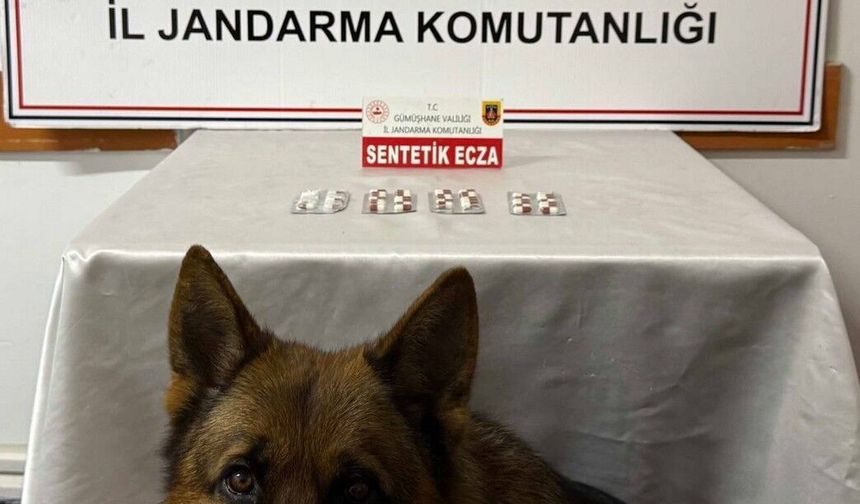 Gümüşhane'deki uyuşturucu operasyonunda 2 şüpheli yakalandı