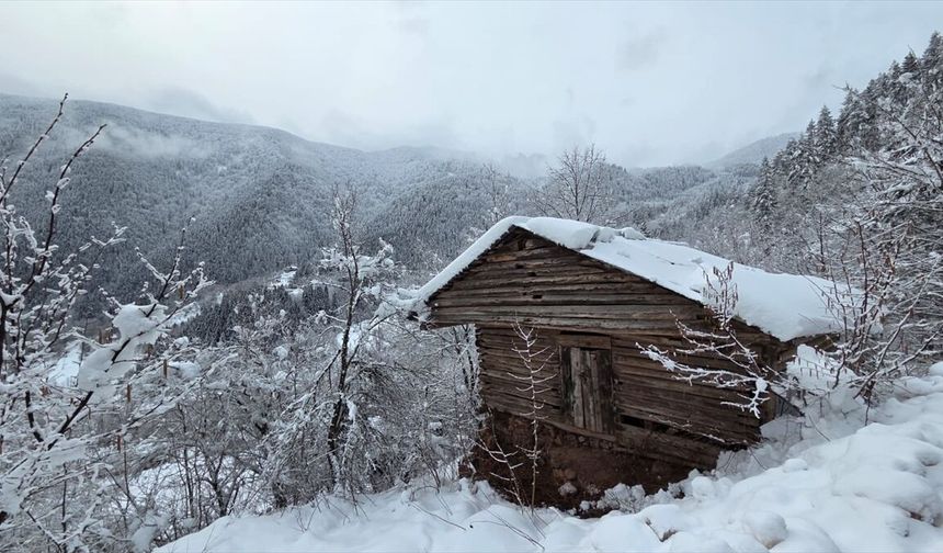 Ordu ve Artvin'de kar etkili oluyor