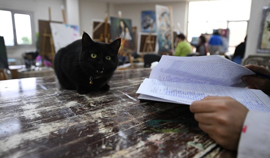 Sevimli kedi 'Şükufe' kursiyerlerin neşe kaynağı oldu