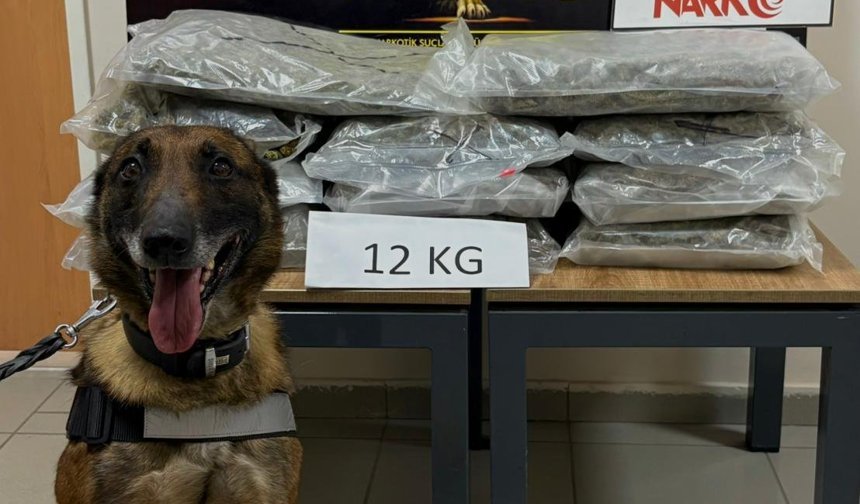 Anadolu Otoyolu'nun Düzce kesiminde durdurulan minibüste 12 kilogram uyuşturucu ele geçirildi