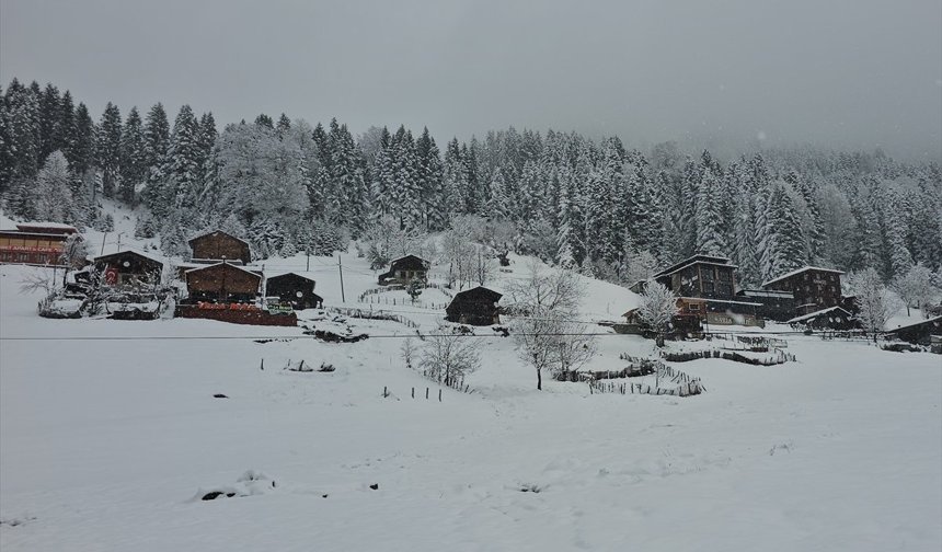 YAYLADA KAR ETKİLİ OLDU