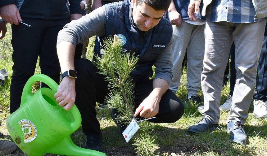 Düzce'de MHP Genel Başkanı Bahçeli adına hatıra ormanı oluşturuldu