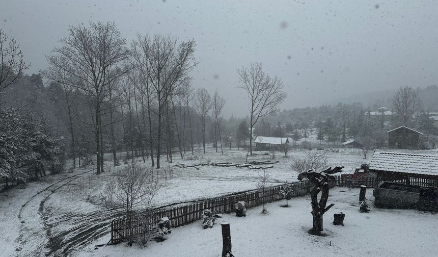 Niksar'da kar yağışı etkili oldu
