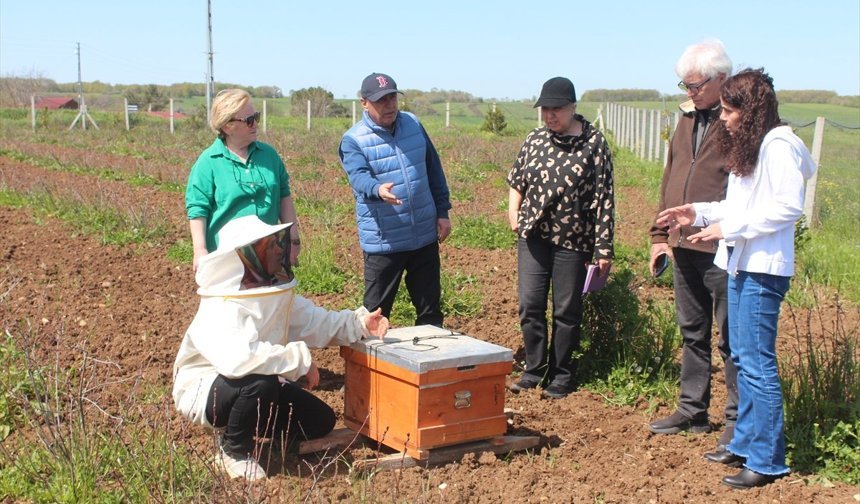 Samsun'da UNDP desteğiyle kadın çiftçilere ilaçsız tarım eğitimi verildi