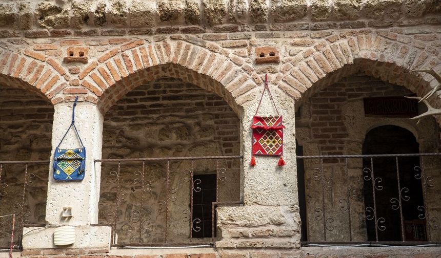Bolu'da Osmanlı'nın merhamet simgesi kuş evleri 'yuva' olmayı sürdürüyor