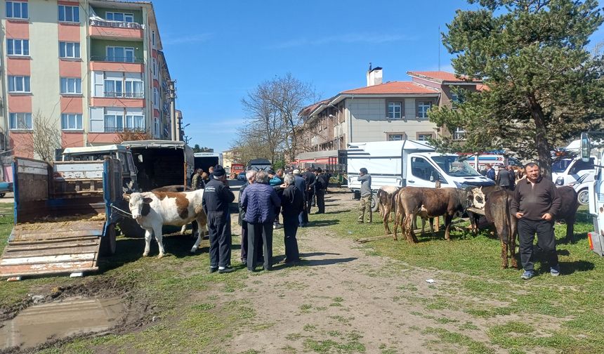 Bolu'dan kısa kısa
