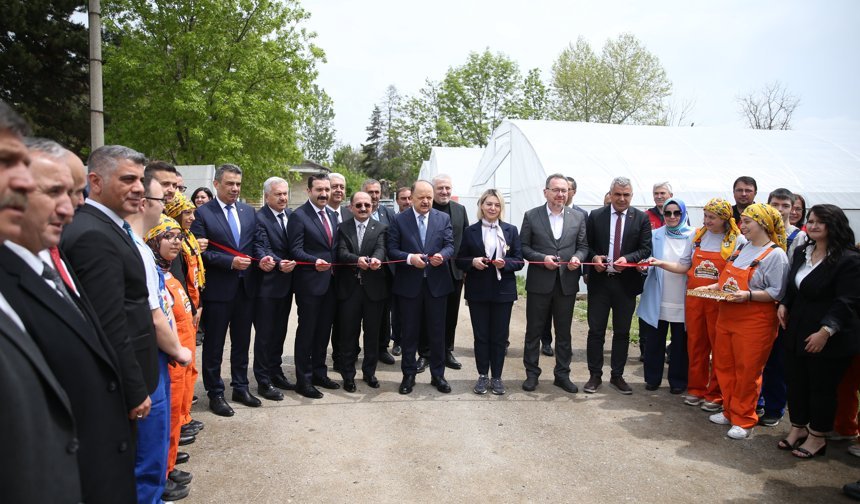 Kastamonu'da özel bireylerin sebze yetiştirecekleri seraların açılışı yapıldı