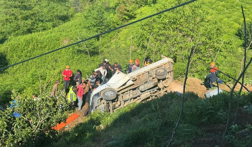 Rize'de çay bahçesine devrilen kamyonetin sürücüsü yaralandı