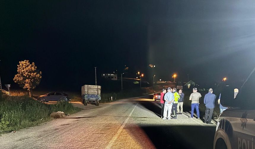 Tokat'ta otomobilin koyun sürüsüne çarpması sonucu 5 koyun telef oldu