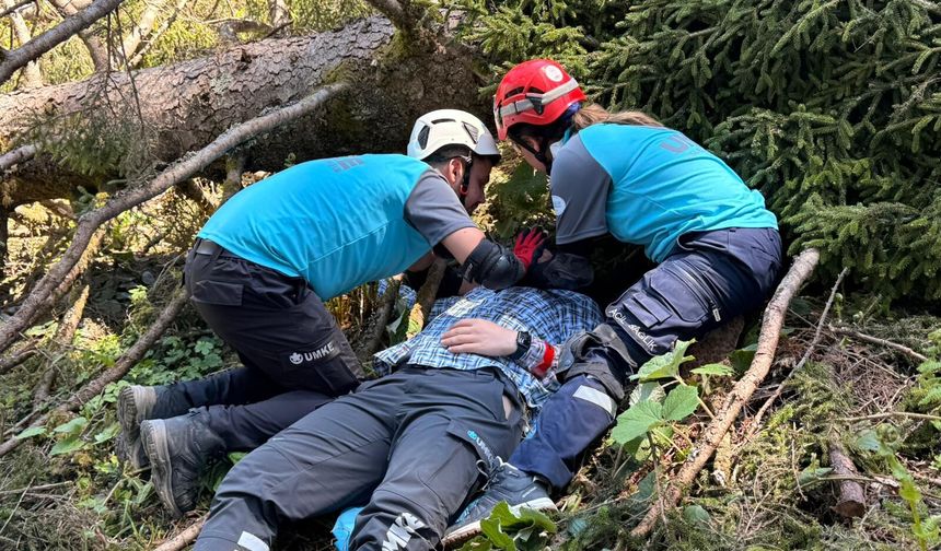 Giresun'da UMKE gönüllüleri ormanda arama kurtarma tatbikatı yaptı