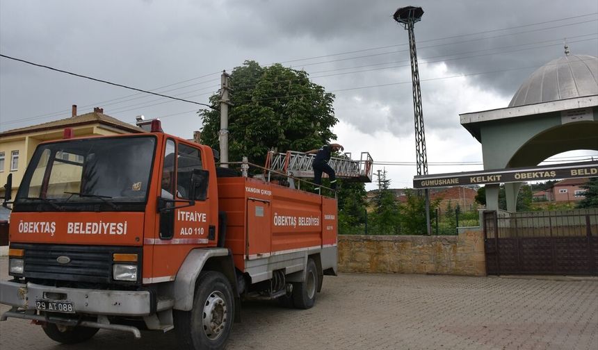 İtfaiye ekipleri anne leyleğin yavrularını beslemesine yardım ediyor