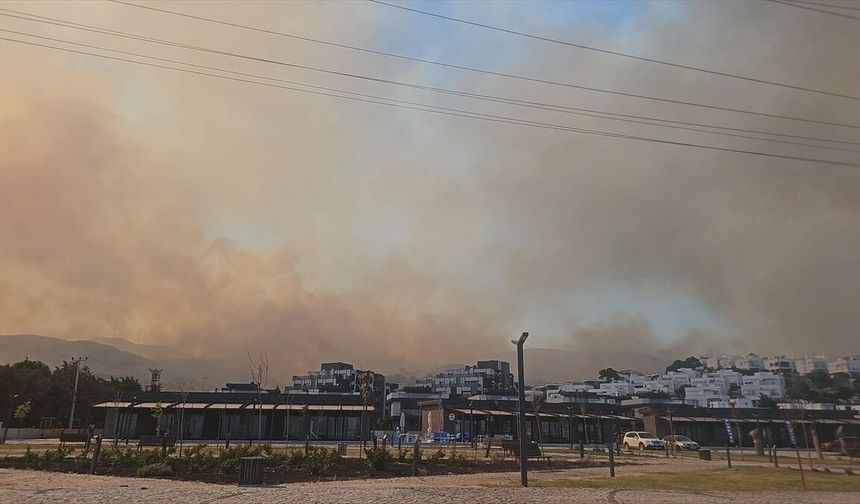 İzmir'de ziraat alanından makiliğe sıçrayan yangına müdahale ediliyor