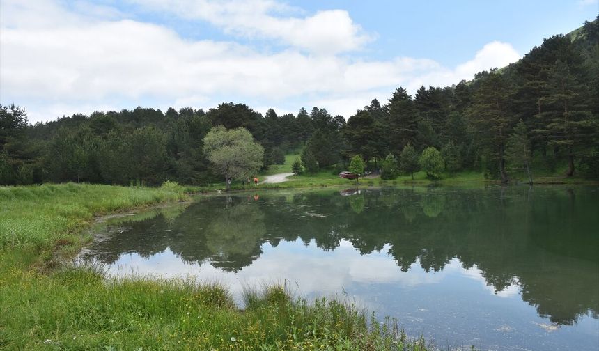 Sarıçam ormanlarıyla çevrili Limni Gölü ziyaretçilerin rotasında yer alıyor