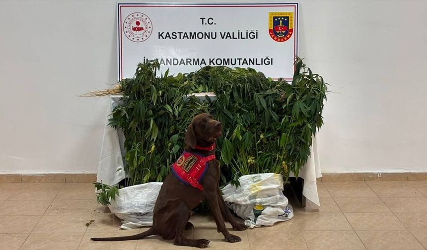 Kastamonu'da uyuşturucu operasyonunda 3 zanlı tutuklandı