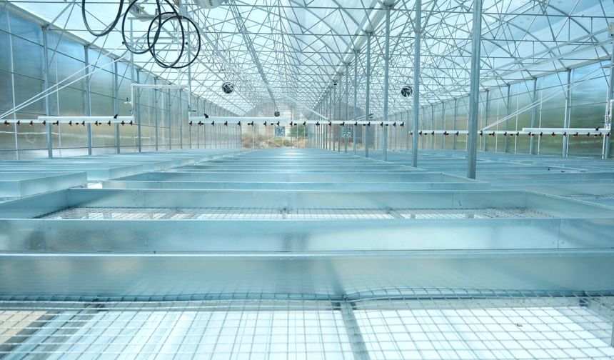 TOGÜ'de yeni kurulan tesiste tohumluk patates üretimi yapılacak