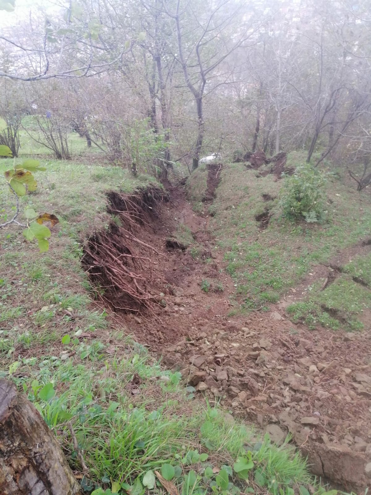 WhatsApp Image 2023-11-21 at 16.01.27 (2)