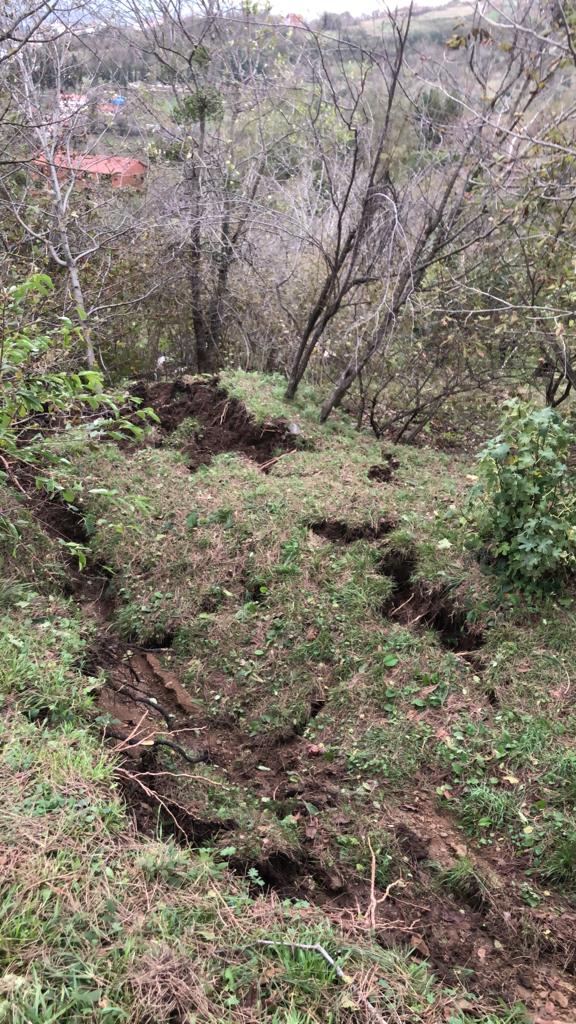 WhatsApp Image 2023-11-21 at 16.01.27