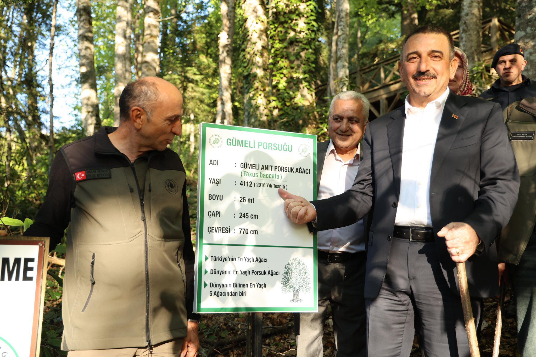 Gümeli Alaplı Porsuk (5)