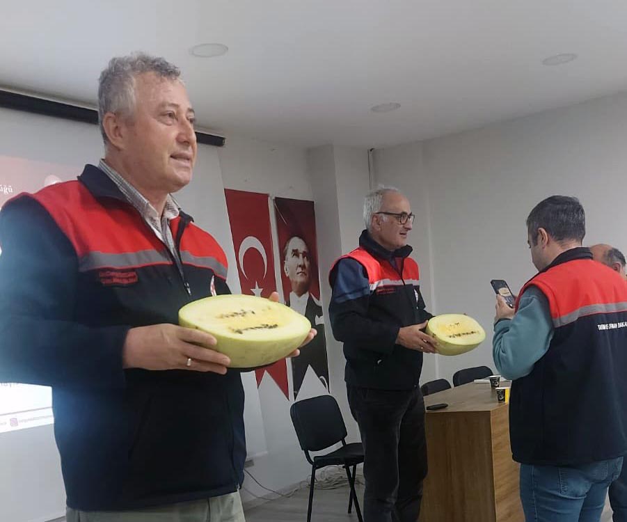 Kartopu (3)