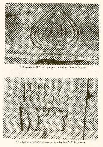 02-5