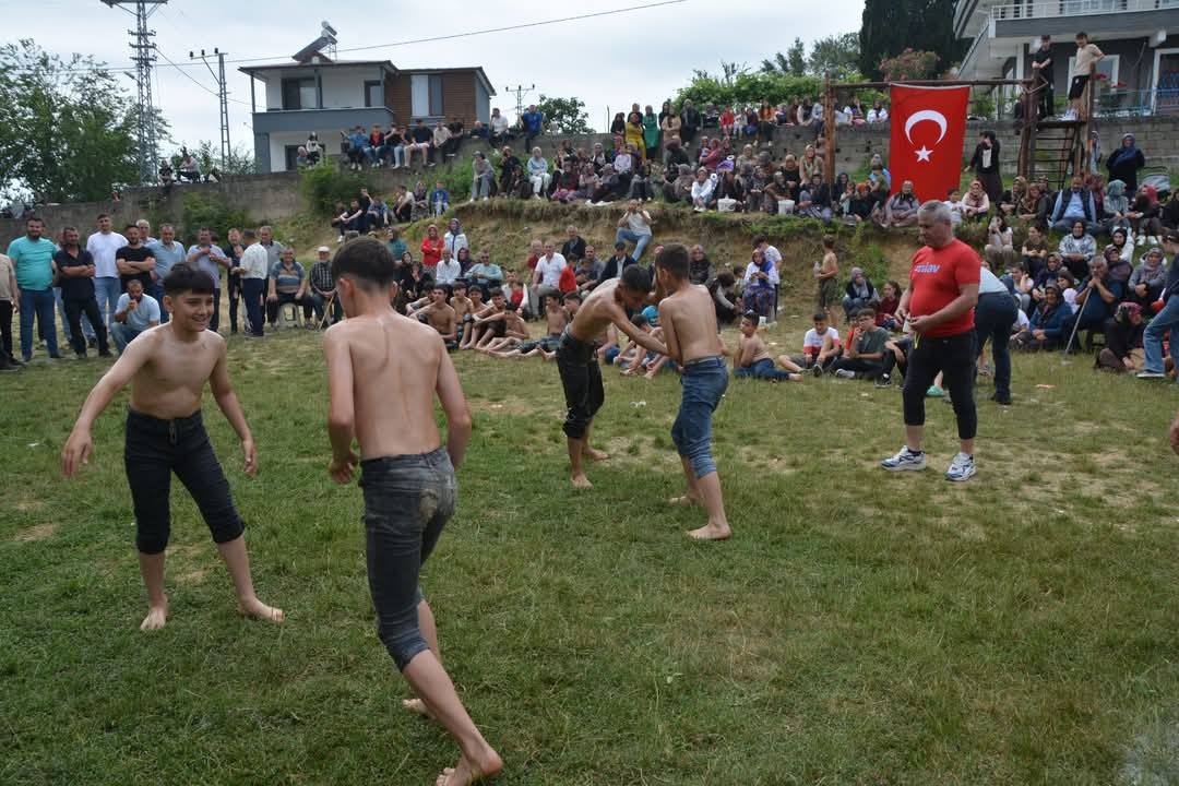 505151549 1228446502403501 2686563980315039549 N
