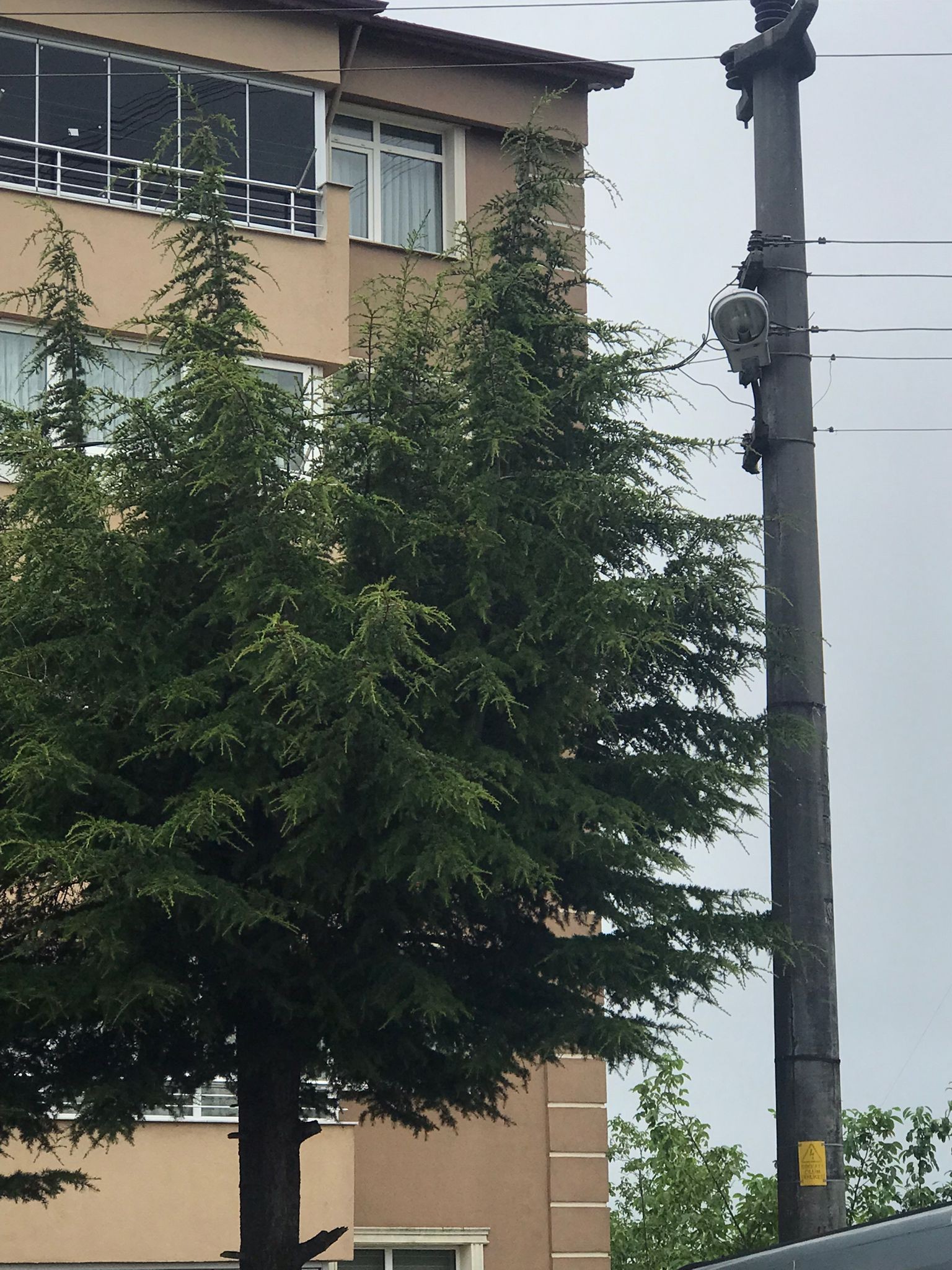 Elektri̇k Telleri̇ (3)
