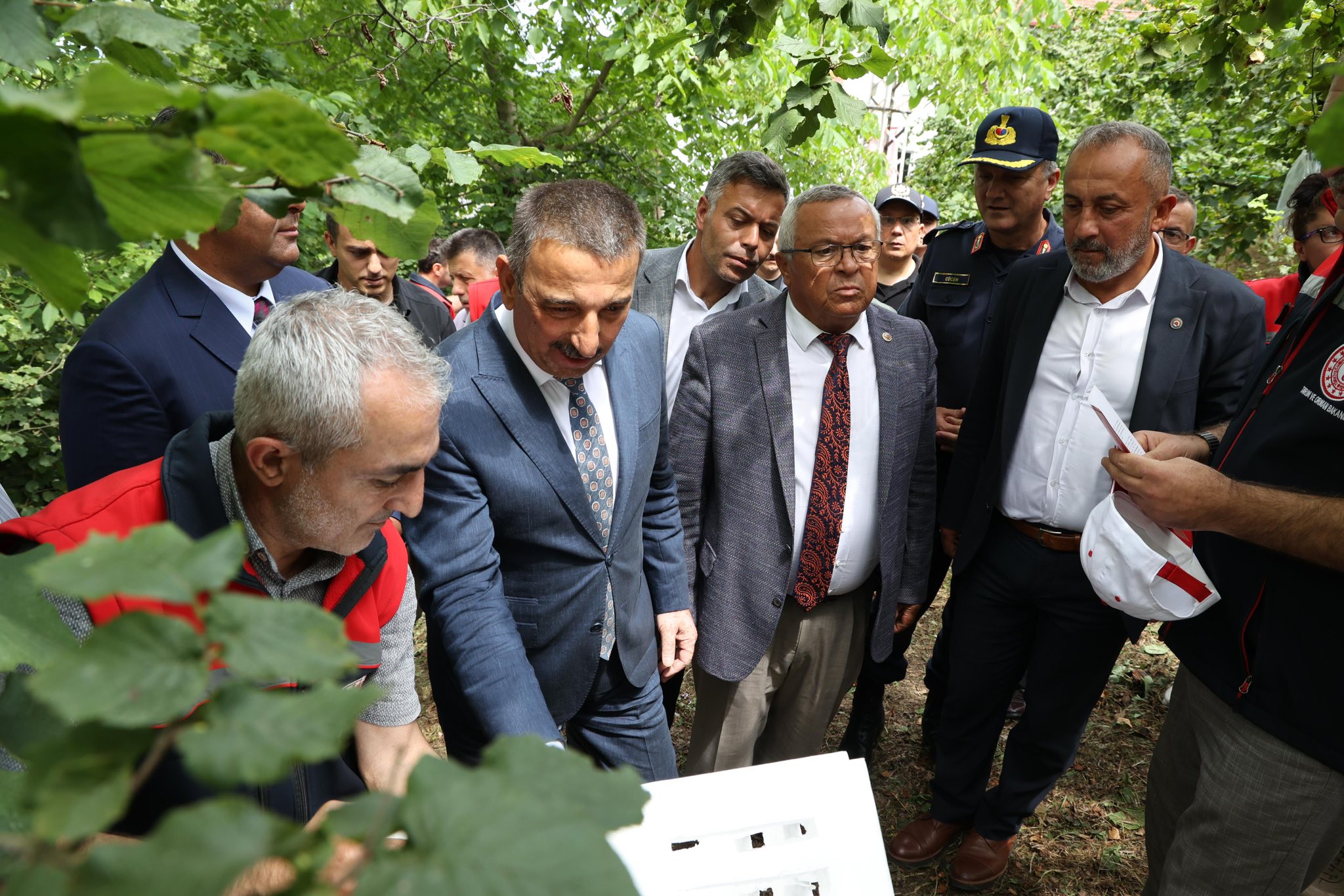 Ormanli Kokarca (2)