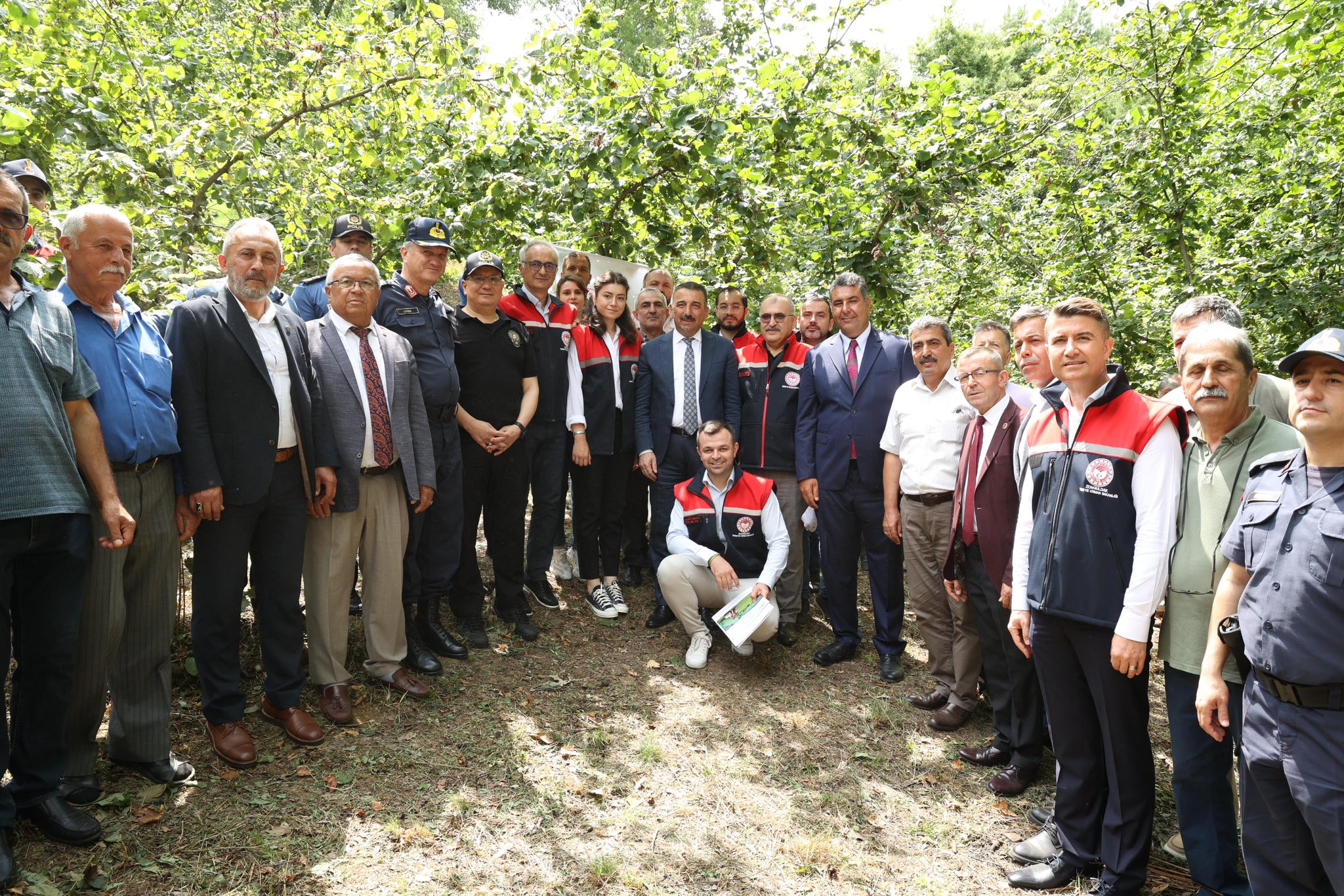 Ormanli Kokarca (4)