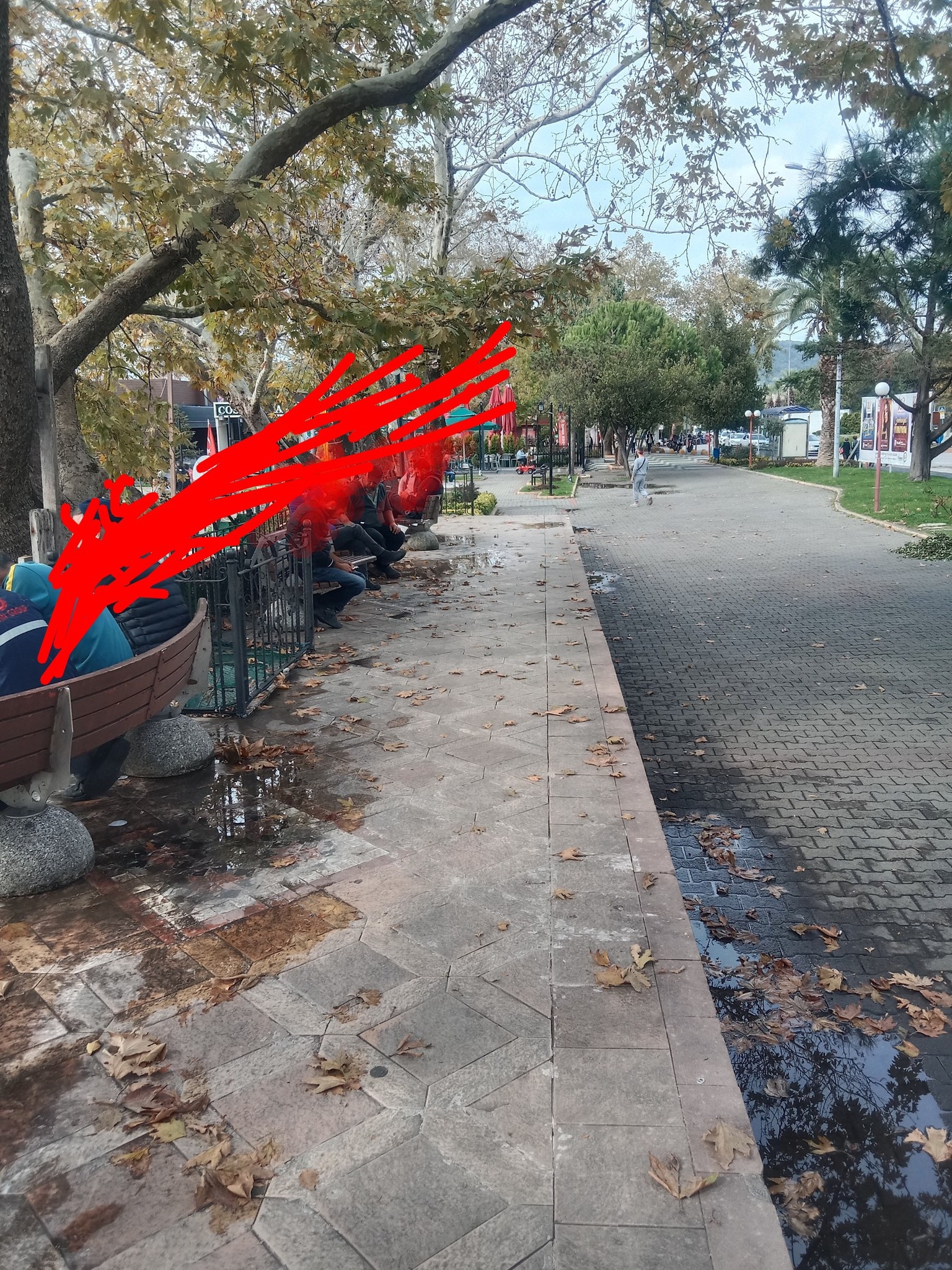 571230834 10235040271302053 8258604820128295119 N