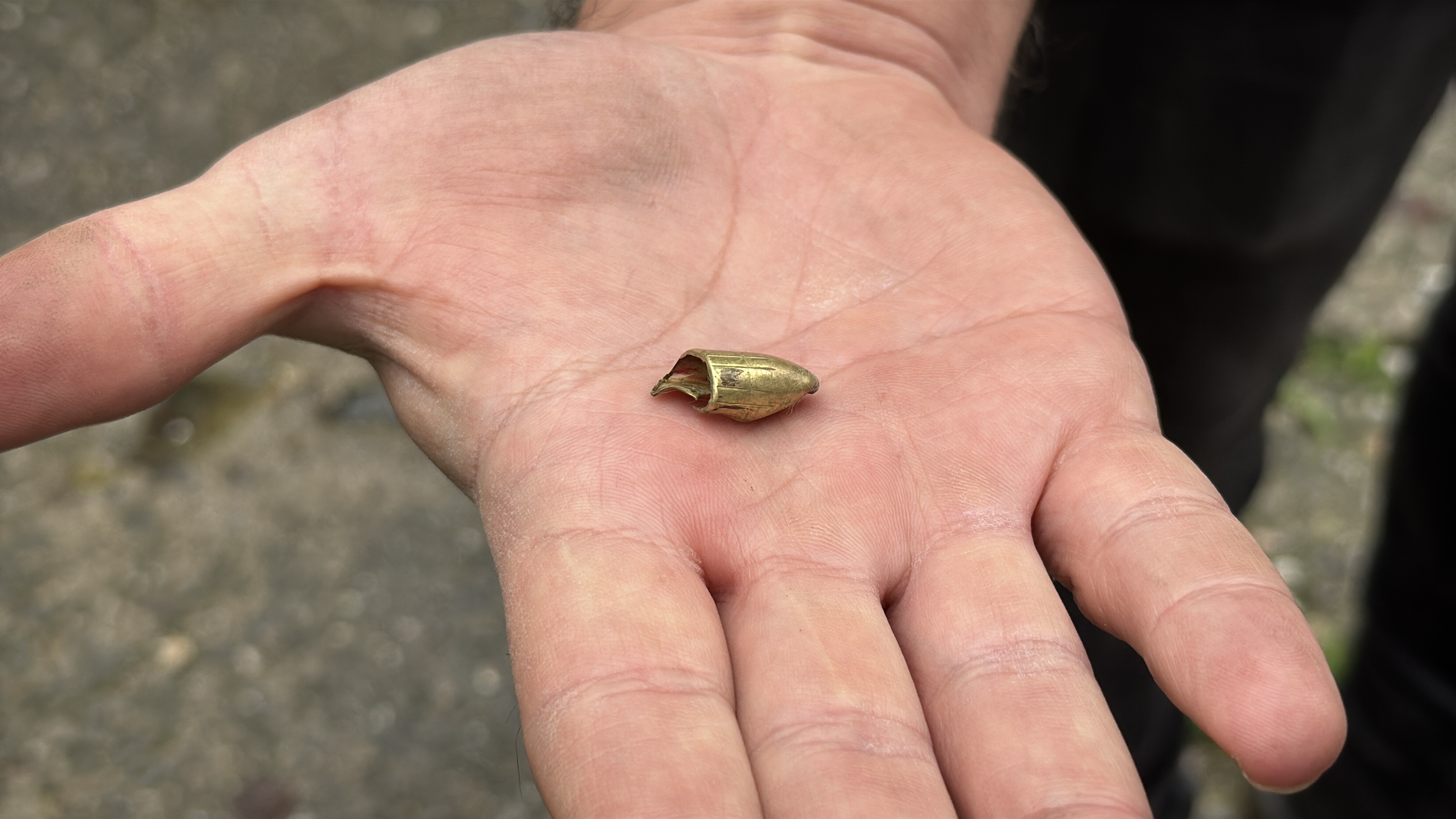 A A 20251109 39658619 39658614 B A C A G I N A Y O R G U N M E R M I I S A B E T E D E N K E D I A M E L I Y A T L A S A G L I G I N A K A V U S T U