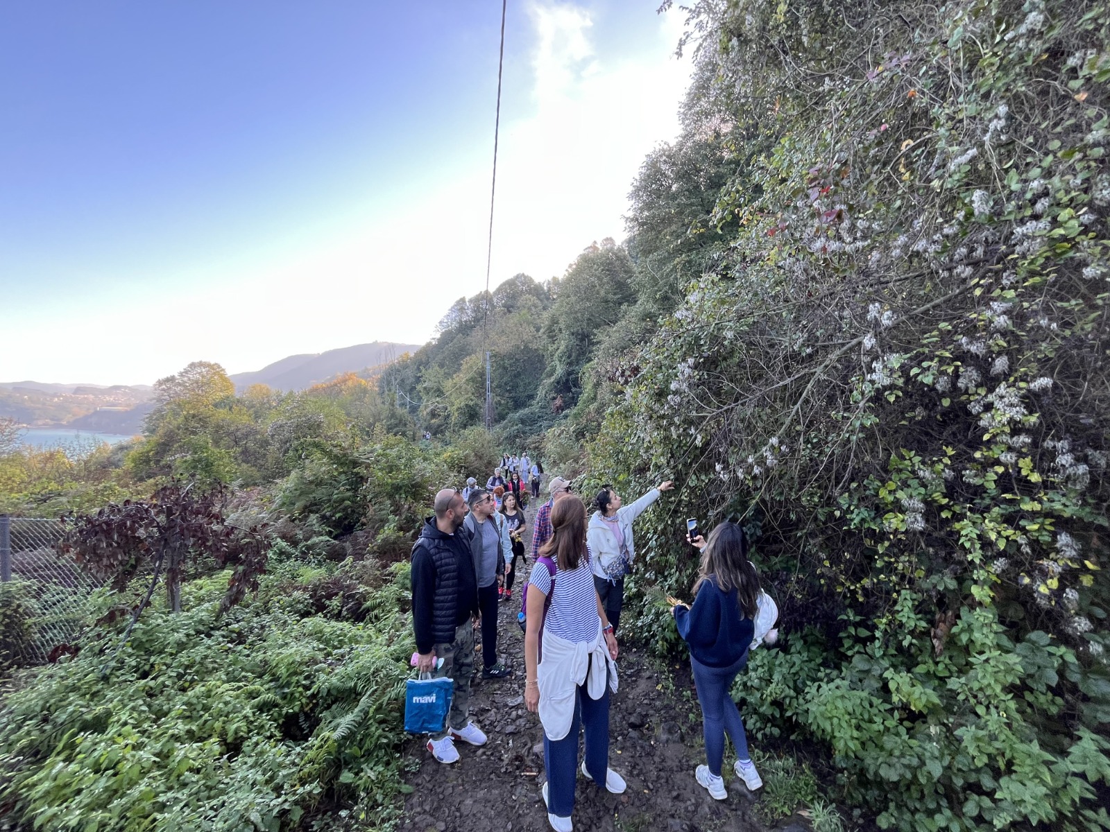 Whatsapp Image 2025 11 03 At 14.18.20