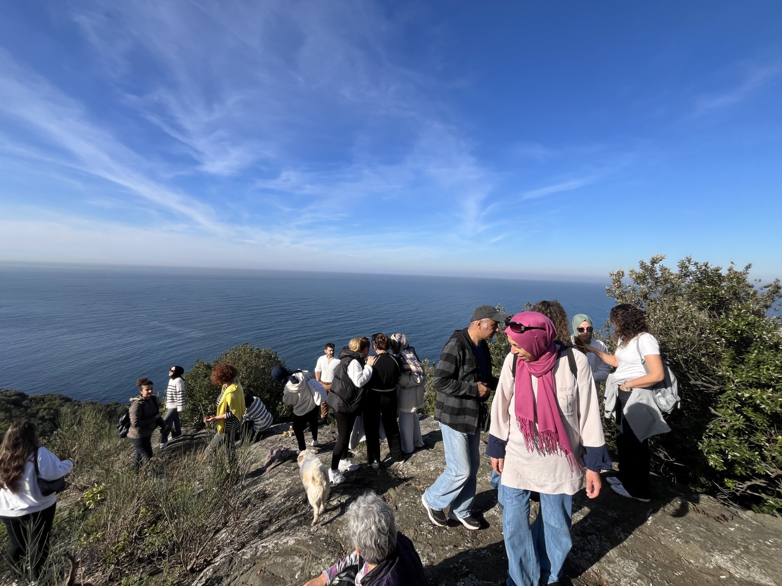 Whatsapp Image 2025 11 03 At 14.18.22