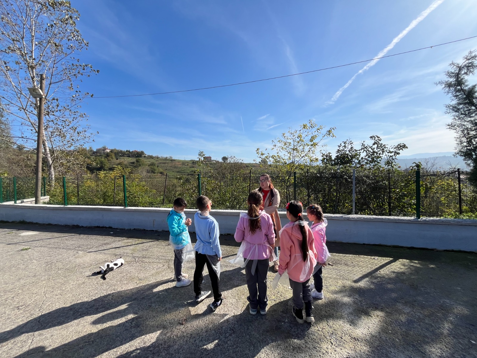 Whatsapp Image 2025 11 10 At 14.49.46 (1)