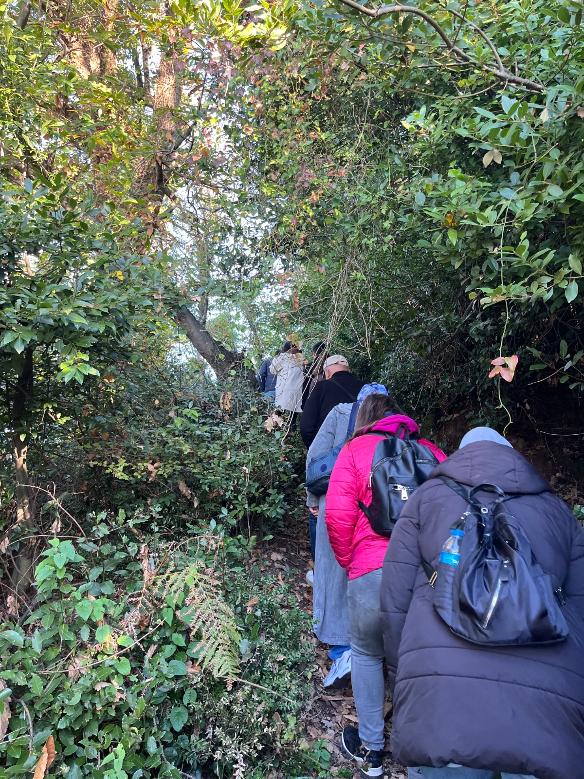 Whatsapp Image 2025 11 17 At 15.07.27