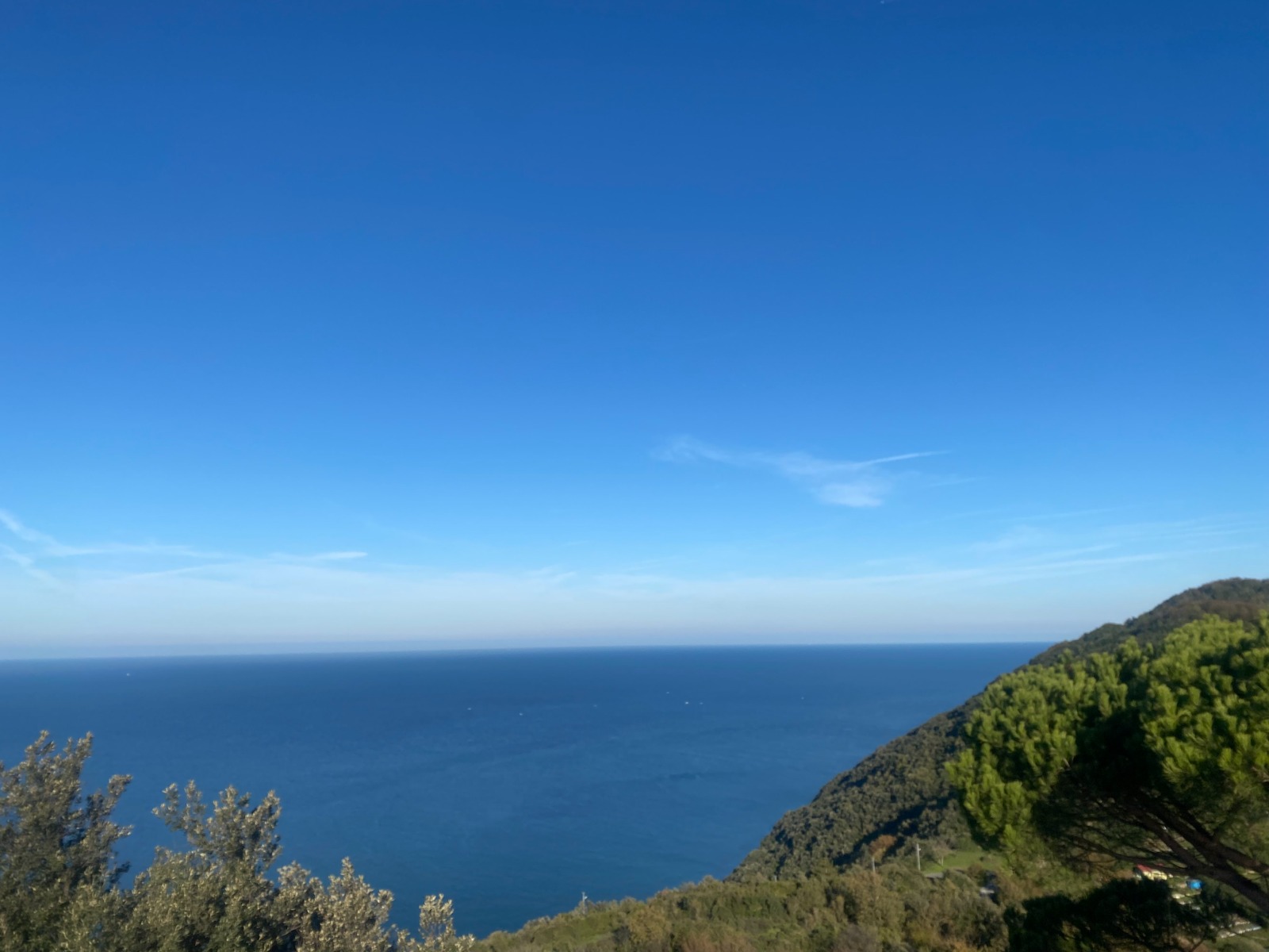 Whatsapp Image 2025 11 17 At 15.07.28