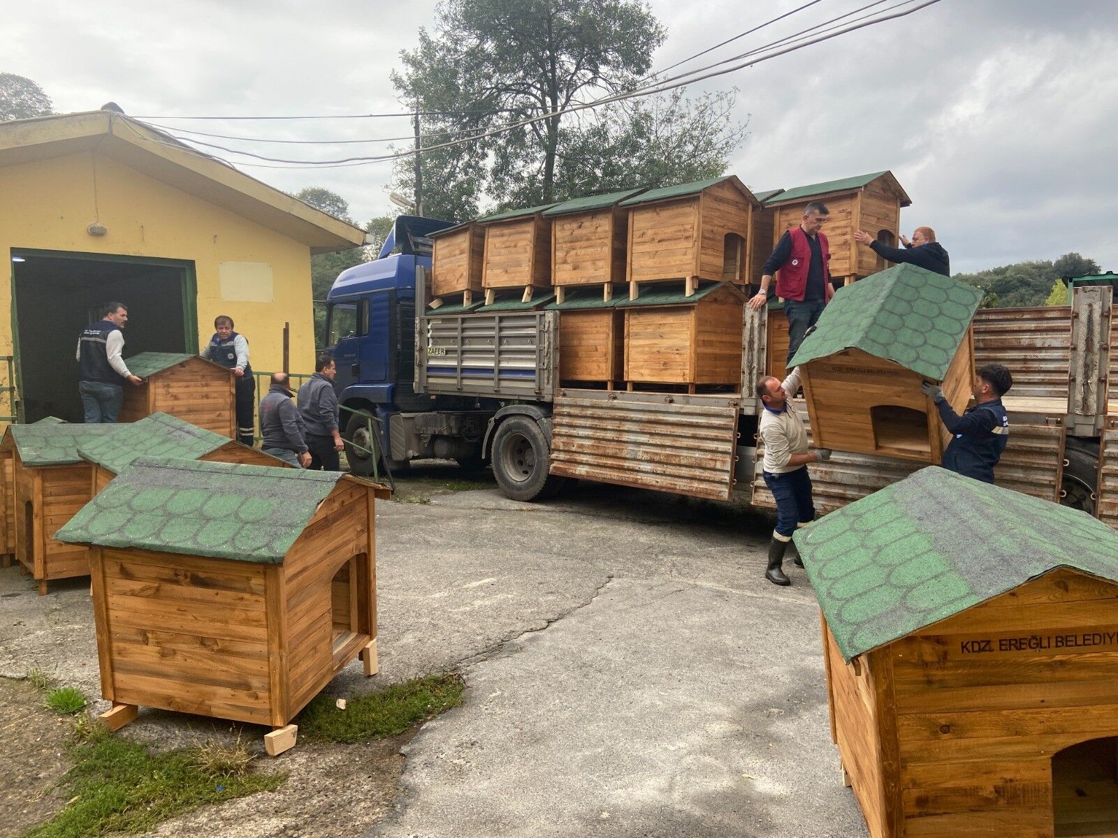 Whatsapp Image 2025 11 18 At 11.52.44