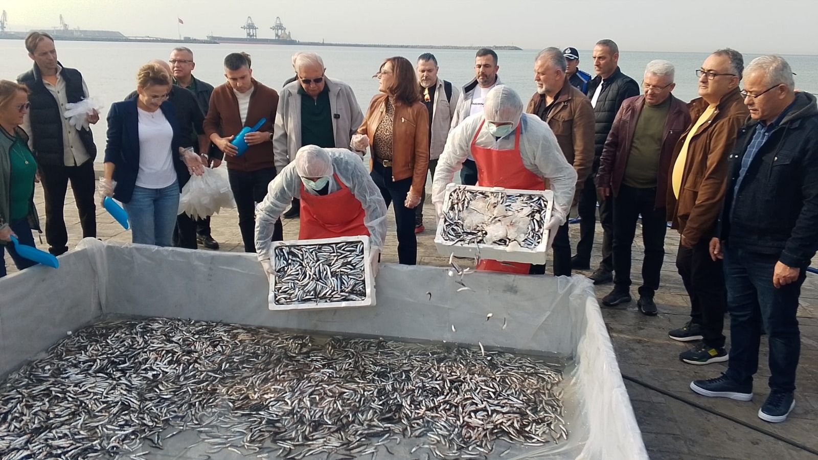 Whatsapp Image 2025 11 23 At 12.48.14 (5)