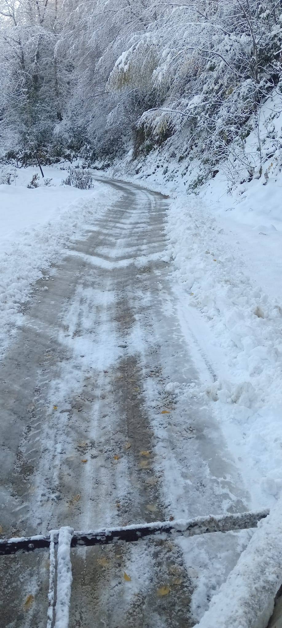 603856356 1391892092725607 2744216576519640790 N